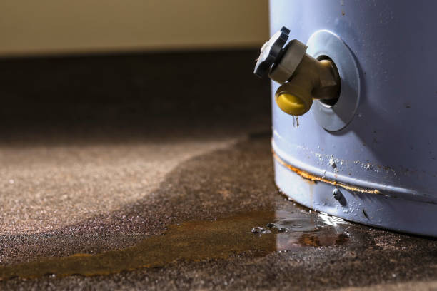 Best Mold removal after water damage  in Rancho Alegre, TX