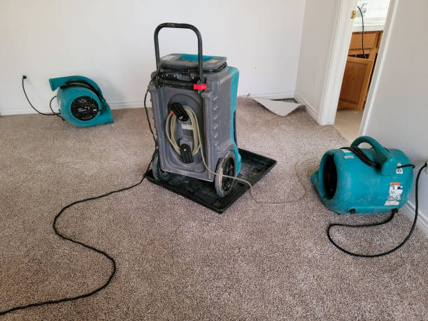 Rancho Alegre, TX Water damage restoration Company