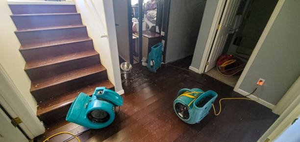 Best Flood restoration services  in Rancho Alegre, TX