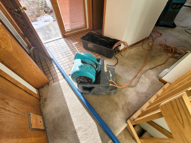 Best Flood restoration services  in Rancho Alegre, TX