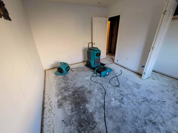 Best Flood damage cleanup  in Rancho Alegre, TX
