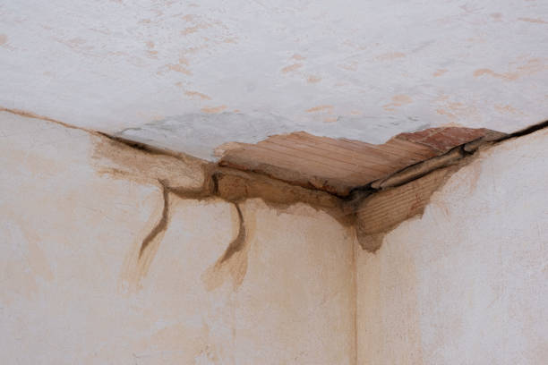 Best 24/7 water damage repair  in Rancho Alegre, TX