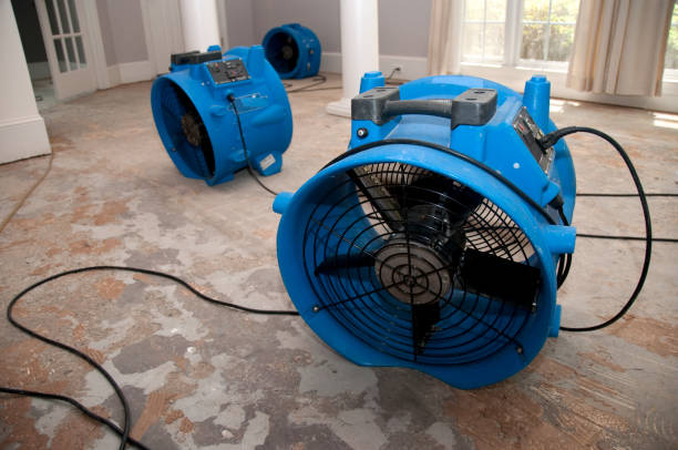 Best Carpet water damage restoration  in Rancho Alegre, TX