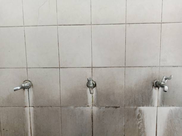 Professional Water damage restoration in Rancho Alegre, TX