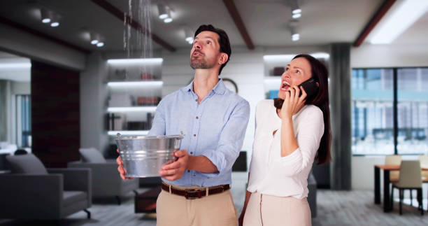 Best Flooded house restoration  in Rancho Alegre, TX