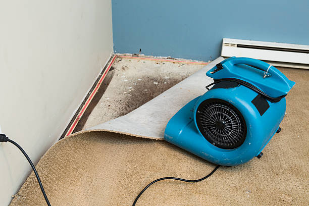 Best Fire Damage Restoration  in Rancho Alegre, TX